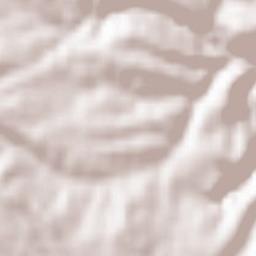 Rubiales Terrain Map