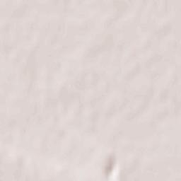 Caprarica di Lecce Terrain Map