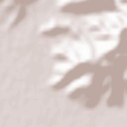 Demirtaş Terrain Map