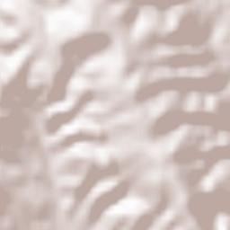 Bascuñana de San Pedro Terrain Map