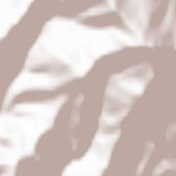 San Mauro Cilento Terrain Map