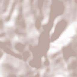 Laguna del Marquesado Terrain Map