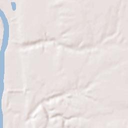 Covington Terrain Map