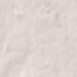 Palmariggi Terrain Map