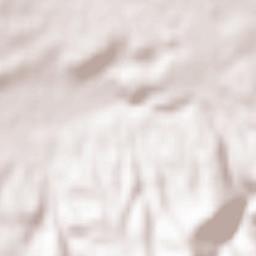 Condeixa-a-Nova Terrain Map