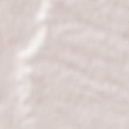 Chozas de Canales Terrain Map