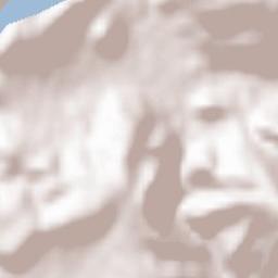 Salvacañete Terrain Map