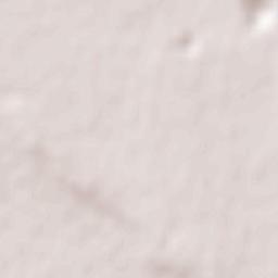 Sannicola Terrain Map