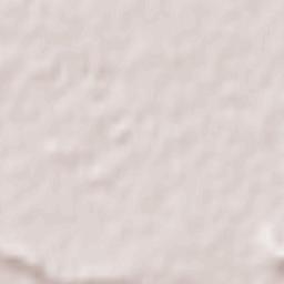 Bambakashat Terrain Map