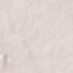 Collepasso Terrain Map