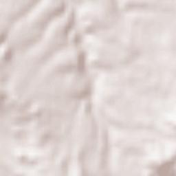 Zarza de Tajo Terrain Map