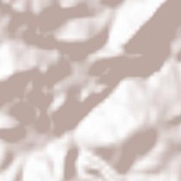 Torrijas Terrain Map