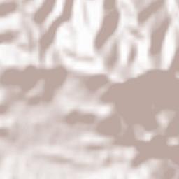 Pina de Montalgrao Terrain Map