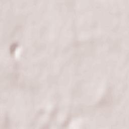 Casarano Terrain Map