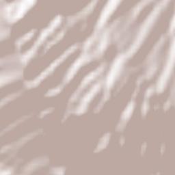 Bashkia Dropull Terrain Map