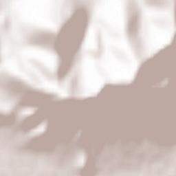 Pasinler Terrain Map