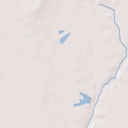 Williamsville Terrain Map