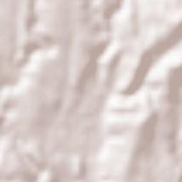 Pajaroncillo Terrain Map