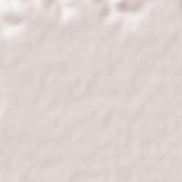 Ciruelos Terrain Map