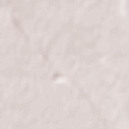 Presicce Terrain Map