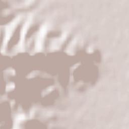 Villavieja Terrain Map