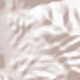 Bashkia Finiq Terrain Map