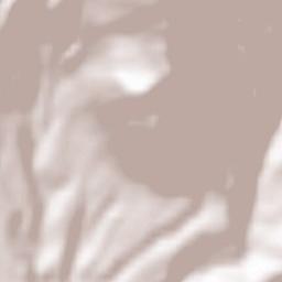 Santa Domenica Talao Terrain Map