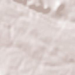 Monteagudo de las Salinas Terrain Map