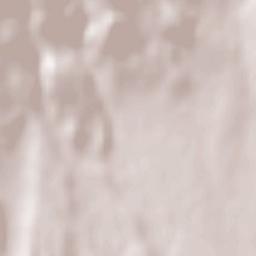 Domaniç Terrain Map