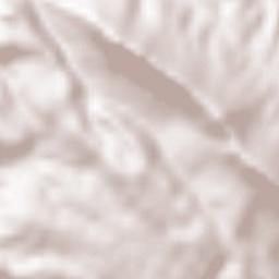 Valdecañas de Tajo Terrain Map