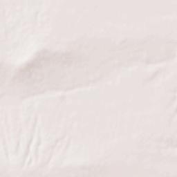 Jacksonville Terrain Map