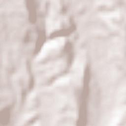 Ferreira do Zêzere Terrain Map