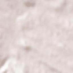 Alconchel de la Estrella Terrain Map