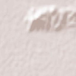 Heydarabad Terrain Map