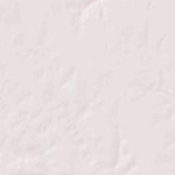 Shelbina Terrain Map