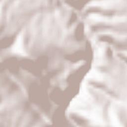 Campillo de Deleitosa Terrain Map