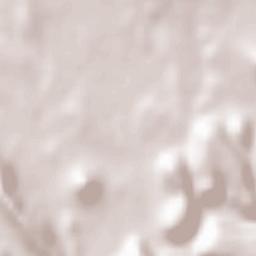 Barumini Terrain Map