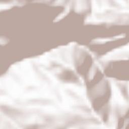 Buonvicino Terrain Map