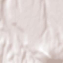 Espinoso del Rey Terrain Map