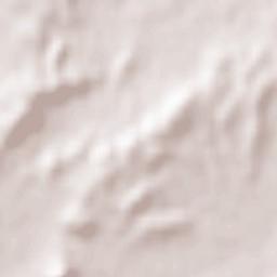 Maria de la Salut Terrain Map