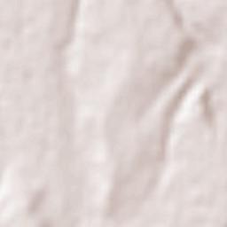 Taşlıçay Terrain Map