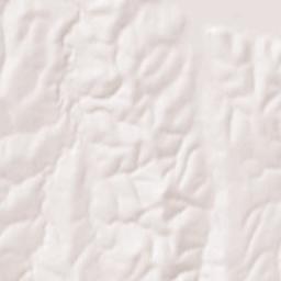 Concordia Terrain Map