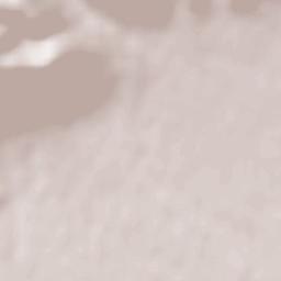 Marjaliza Terrain Map