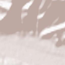 Daroot-Korgon Terrain Map