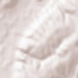 Famalicão Terrain Map