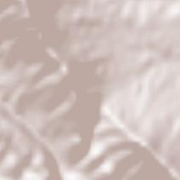 Puerto de San Vicente Terrain Map