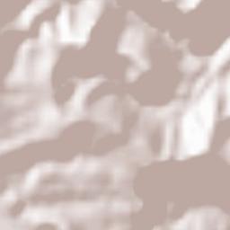 Santa Cruz das Flores Terrain Map