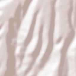 Rosalejo Terrain Map