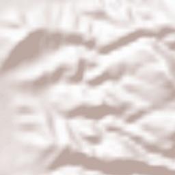 Cavoni-Ginestreto Terrain Map