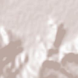 Palaiomonástiro Terrain Map